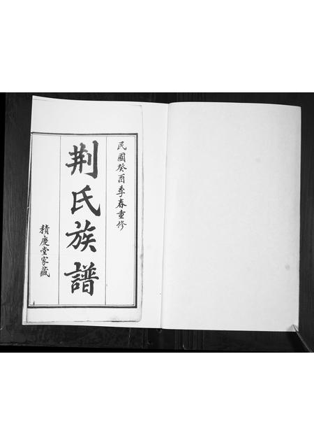 山东荆氏-荆氏族谱.pdf电子版插图2