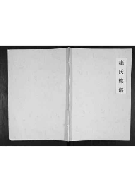 山东康氏-康氏族谱[不分卷].pdf电子版