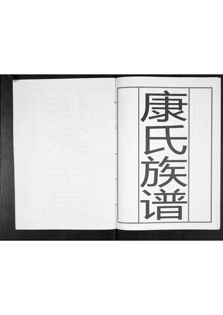 山东康氏-康氏族谱[不分卷].pdf电子版插图2