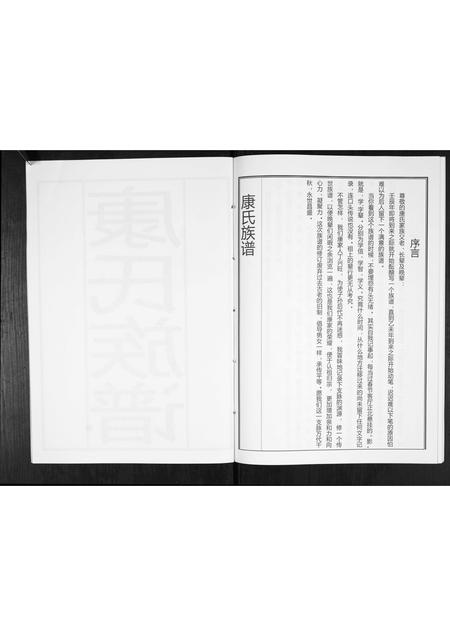 山东康氏-康氏族谱[不分卷].pdf电子版插图3