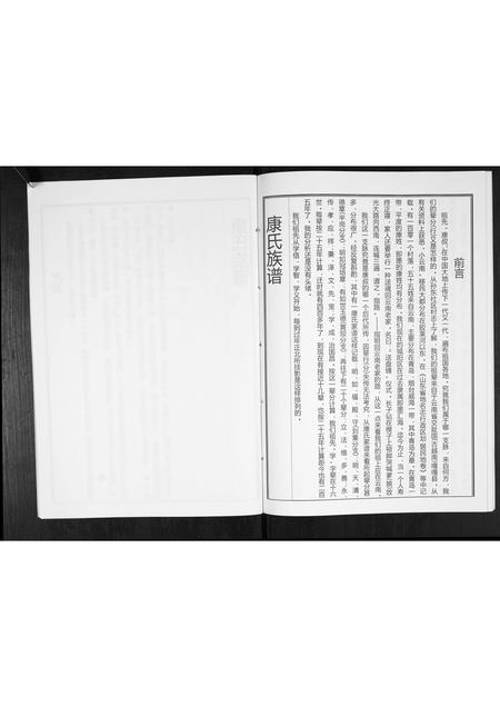 山东康氏-康氏族谱[不分卷].pdf电子版插图4