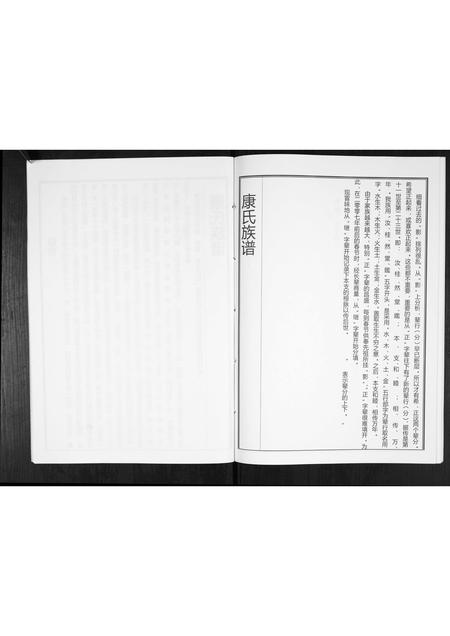 山东康氏-康氏族谱[不分卷].pdf电子版插图5