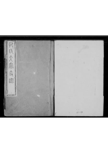 山东孔氏-孔氏大宗支谱.pdf电子版