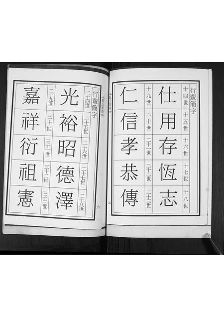 山东蓝氏-蓝氏家承.pdf电子版插图4