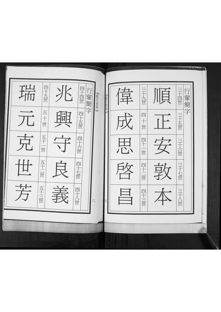 山东蓝氏-蓝氏家承.pdf电子版插图5