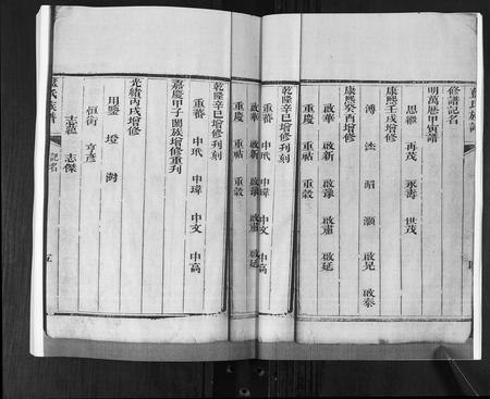 山东蓝氏-蓝氏族谱.pdf电子版插图4