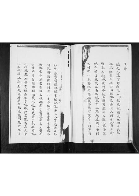 山东蓝氏-蓝氏族谱.pdf电子版插图3