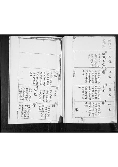 山东蓝氏-蓝氏族谱.pdf电子版插图5