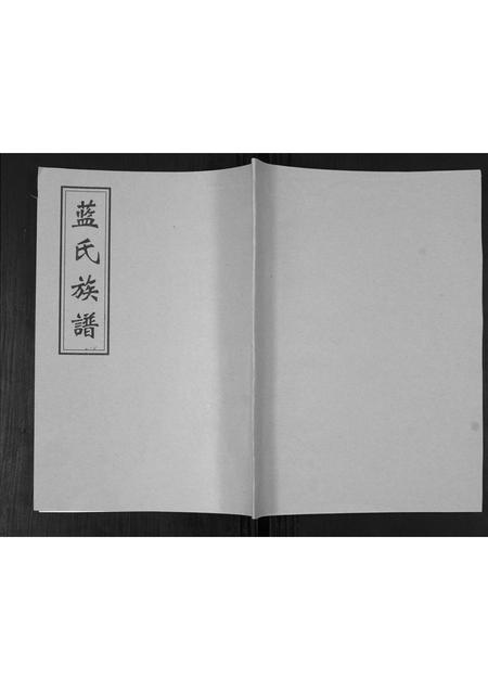 山东蓝氏-蓝氏族谱.pdf电子版