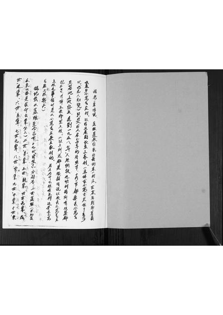 山东蓝氏-蓝氏族谱.pdf电子版插图1