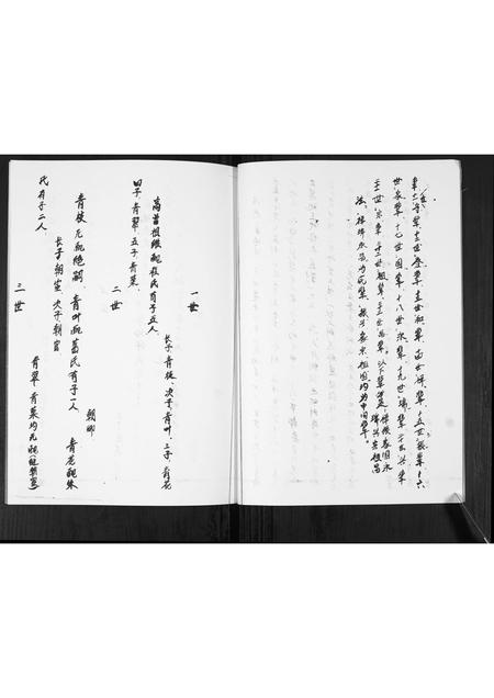 山东蓝氏-蓝氏族谱.pdf电子版插图2