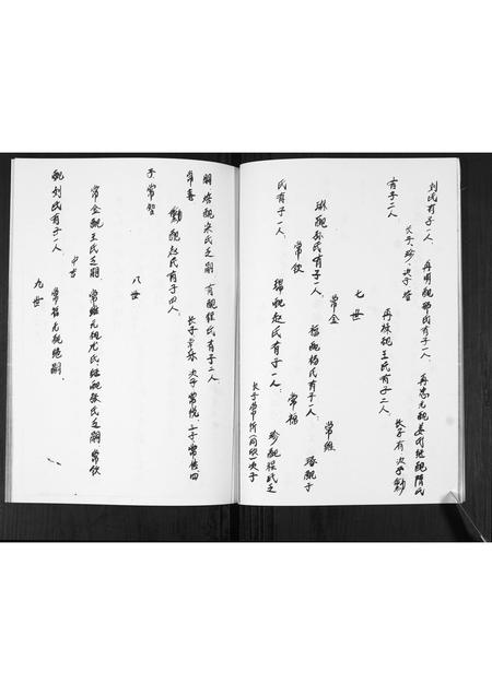 山东蓝氏-蓝氏族谱.pdf电子版插图4