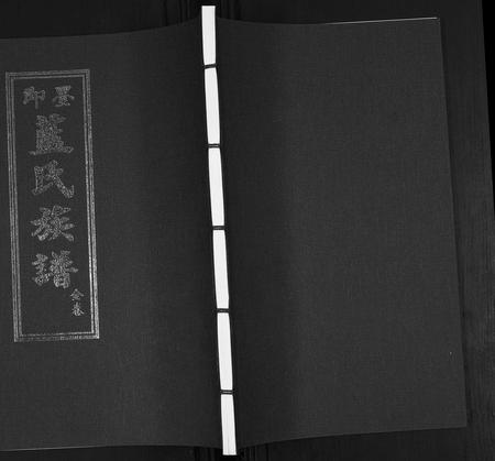 山东蓝氏-蓝氏族谱.pdf电子版