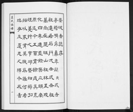 山东蓝氏-蓝氏族谱.pdf电子版插图2