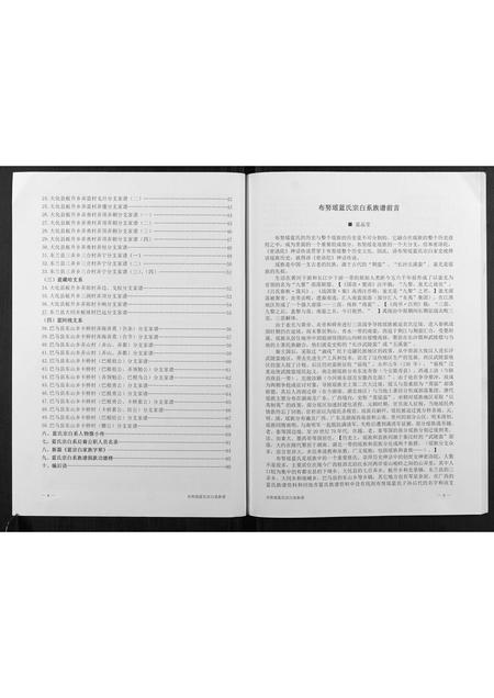 广西蓝氏-布努瑶蓝氏宗白系族谱.pdf电子版插图3