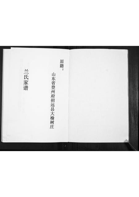 河北兰氏-兰氏家谱[不分卷].pdf电子版插图2