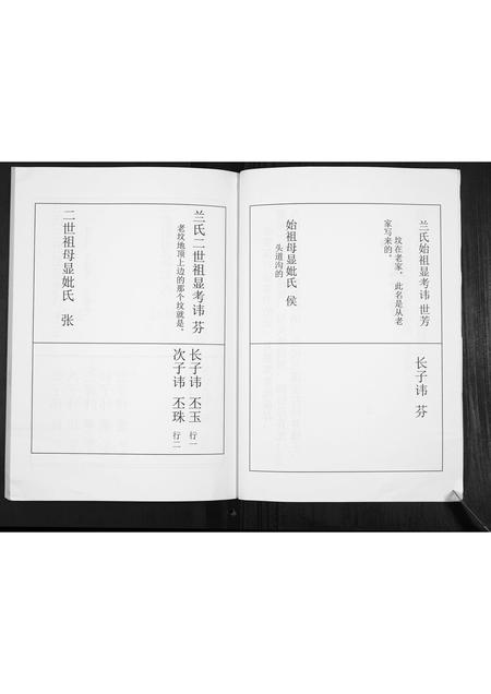 河北兰氏-兰氏家谱[不分卷].pdf电子版插图4