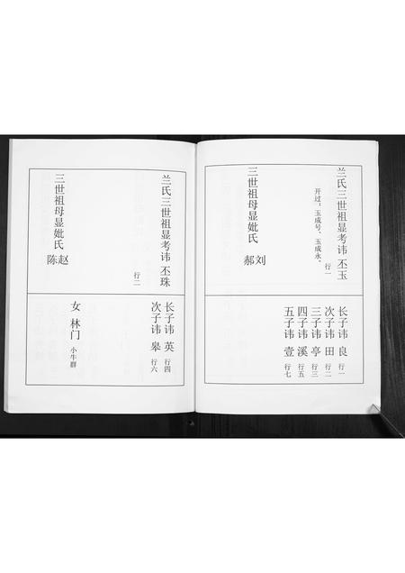 河北兰氏-兰氏家谱[不分卷].pdf电子版插图5