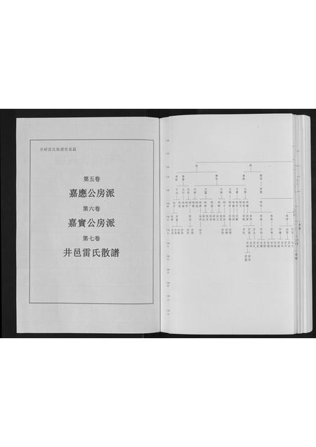四川雷氏-井研雷氏族谱[不分卷].pdf电子版插图1