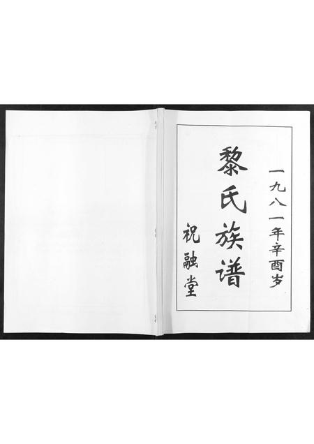 海南黎氏-黎氏族谱.pdf电子版插图