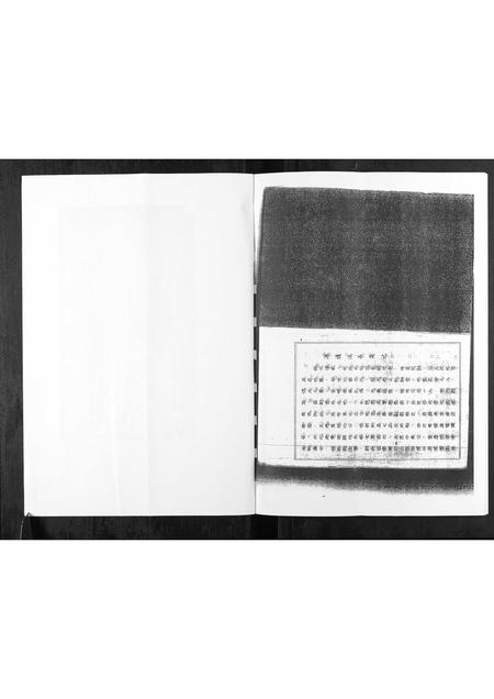 海南黎氏-黎氏族谱.pdf电子版插图4