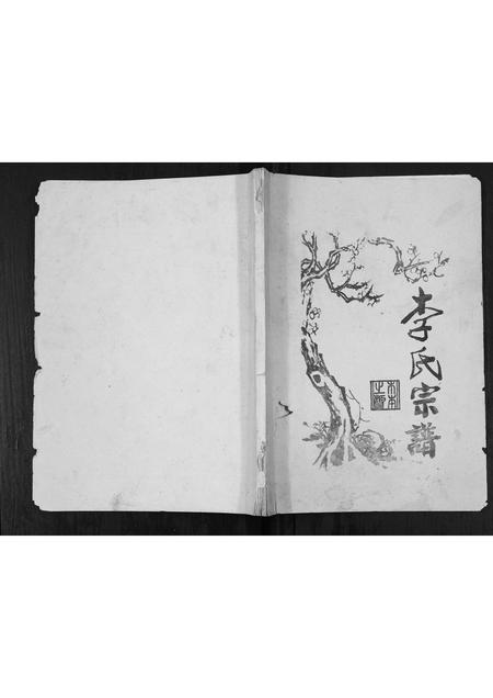 四川李氏-李氏宗谱[不分卷].pdf电子版插图