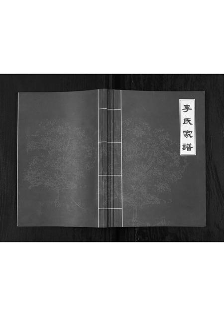 四川李氏-李氏家谱.pdf电子版插图