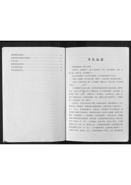 四川李氏-李氏家谱[不分卷].pdf电子版插图3