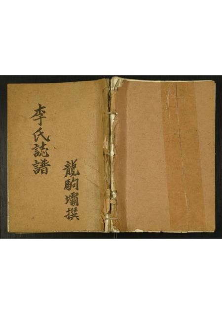四川李氏-李氏志谱.pdf电子版插图
