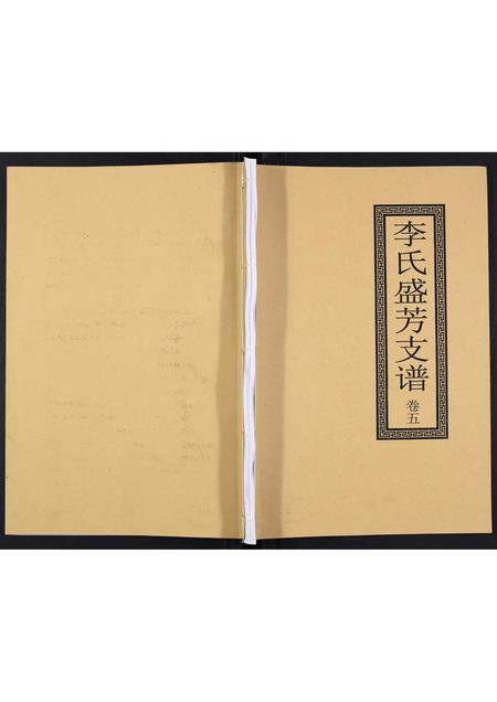 四川李氏-李氏盛芳支谱[5卷].pdf电子版插图