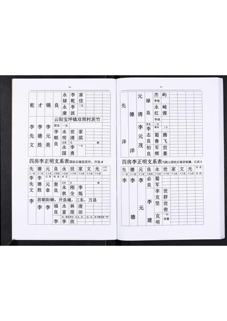 四川李氏-李氏盛芳支谱[5卷].pdf电子版插图4