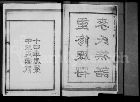 四川李氏-重修庆符李氏族谱(别名：庆符李氏族谱).pdf电子版插图2