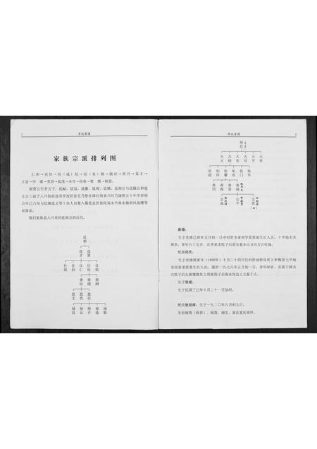 四川李氏-陇西仁和李氏家谱.pdf电子版插图2