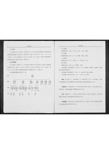 四川李氏-陇西仁和李氏家谱.pdf电子版插图3