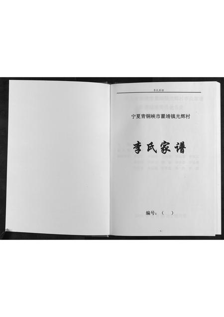 宁夏李氏-李氏家谱[不分卷].pdf电子版插图1