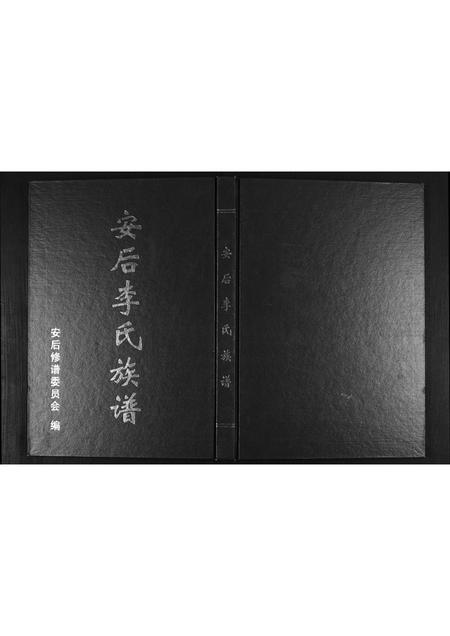 山东李氏-安后李氏族谱.pdf电子版插图