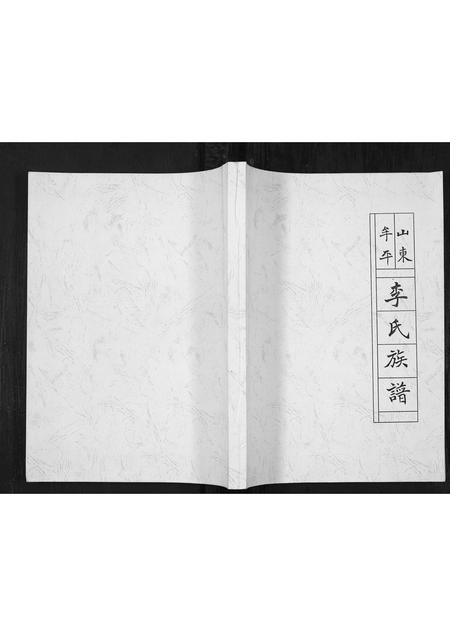 山东李氏-山东牟平李氏族谱[1册](别名：Shan Dong Mou Ping Li Shi Zu Pu).pdf电子版插图