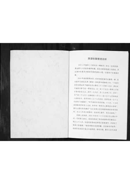 山东李氏-山东牟平李氏族谱[1册](别名：Shan Dong Mou Ping Li Shi Zu Pu).pdf电子版插图1
