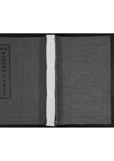 山东李氏-峰山李氏族谱[2卷].pdf电子版插图