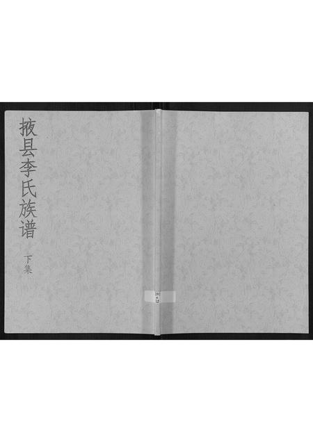山东李氏-掖县李氏族谱[3集].pdf电子版插图