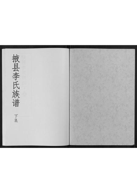 山东李氏-掖县李氏族谱[3集].pdf电子版插图1
