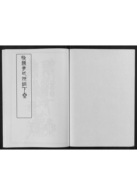 山东李氏-掖县李氏族谱[3集].pdf电子版插图2