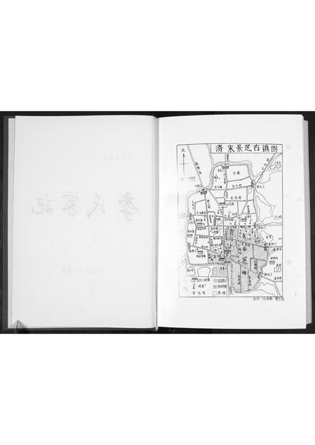 山东李氏-景芝东南前疃李氏家记[不分卷].pdf电子版插图3