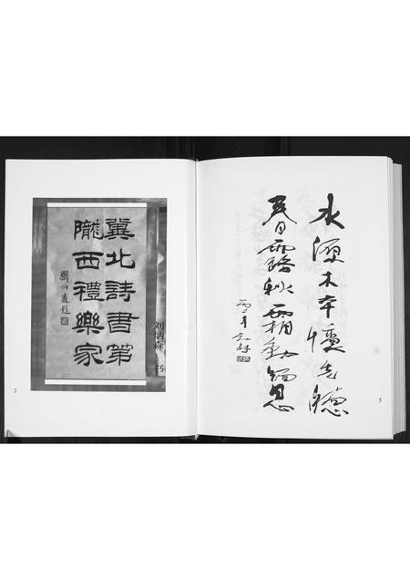 山东李氏-景芝东南前疃李氏家记[不分卷].pdf电子版插图4