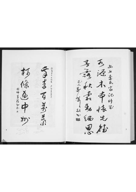 山东李氏-景芝东南前疃李氏家记[不分卷].pdf电子版插图5