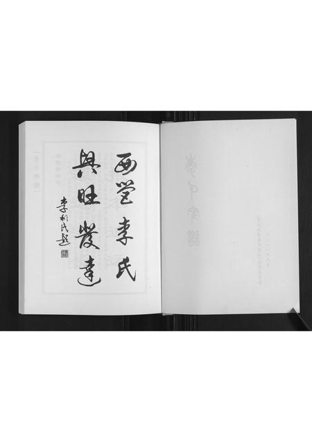 山东李氏-李氏宗谱.pdf电子版插图2