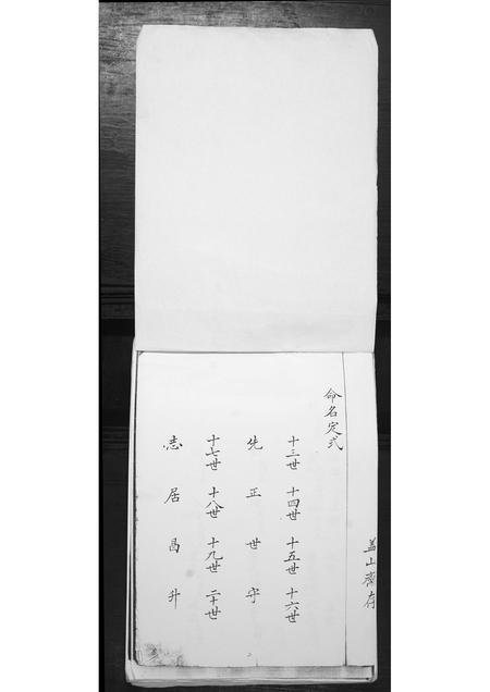 山东李氏-李氏家谱.pdf电子版插图1