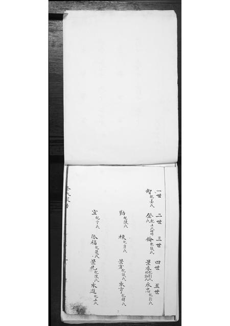 山东李氏-李氏家谱.pdf电子版插图2