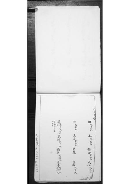 山东李氏-李氏家谱.pdf电子版插图3
