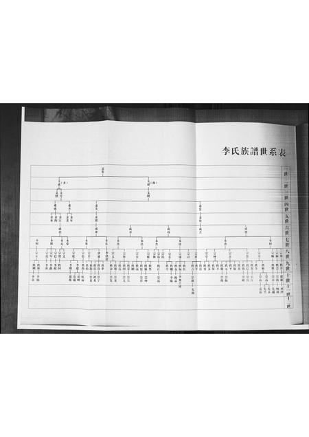 山东李氏-李氏家谱.pdf电子版插图1